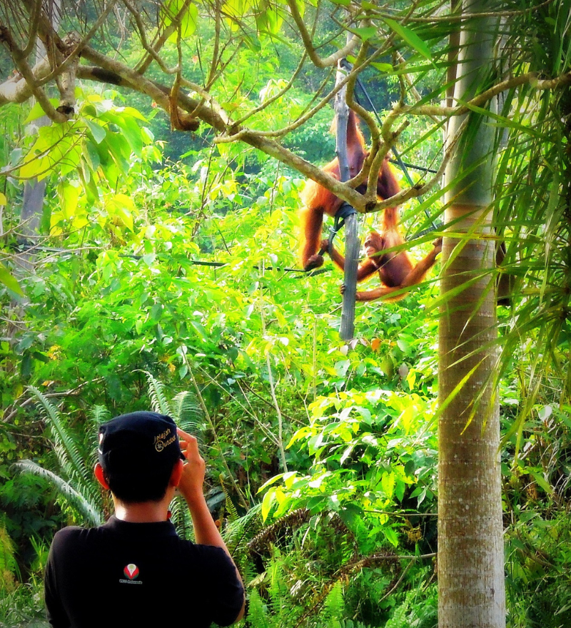 About Jelajah Outdoor Journey in Borneo