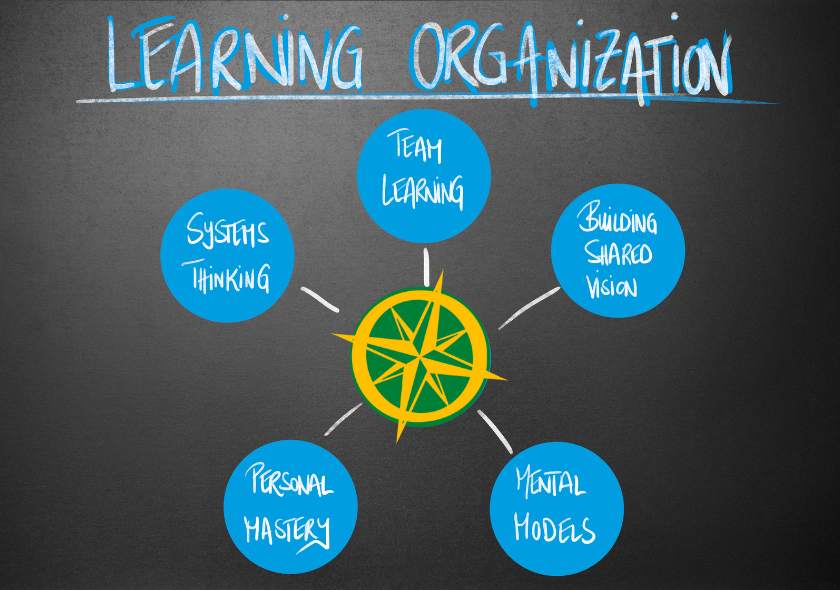 learning organization peter senge