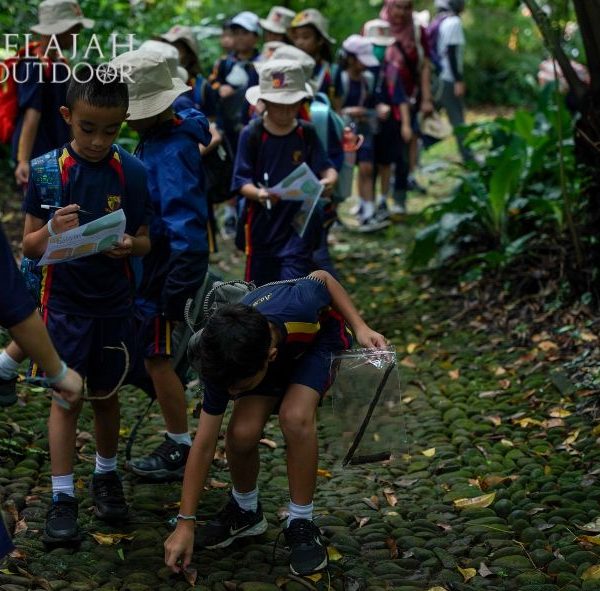 Manfaat Outdoor Education Terhadap Perkembangan Anak