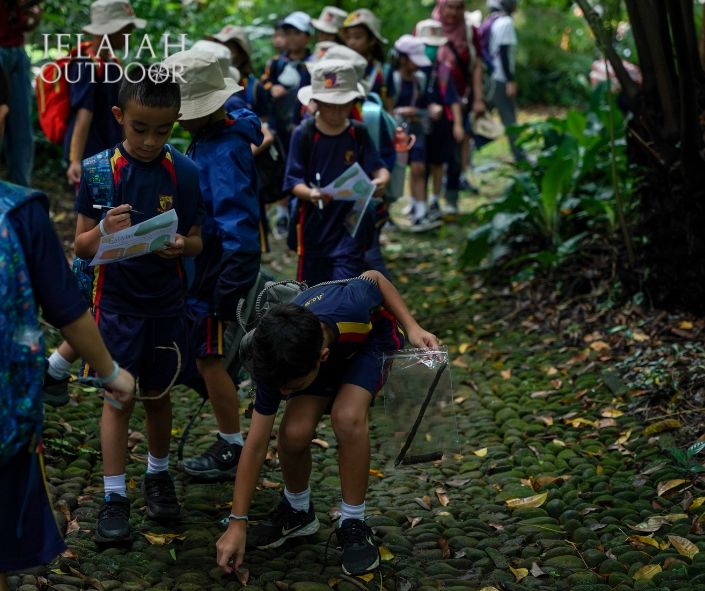 Manfaat Outdoor Education untuk Perkembangan Anak