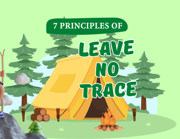 7 Principles of Leave No Trace